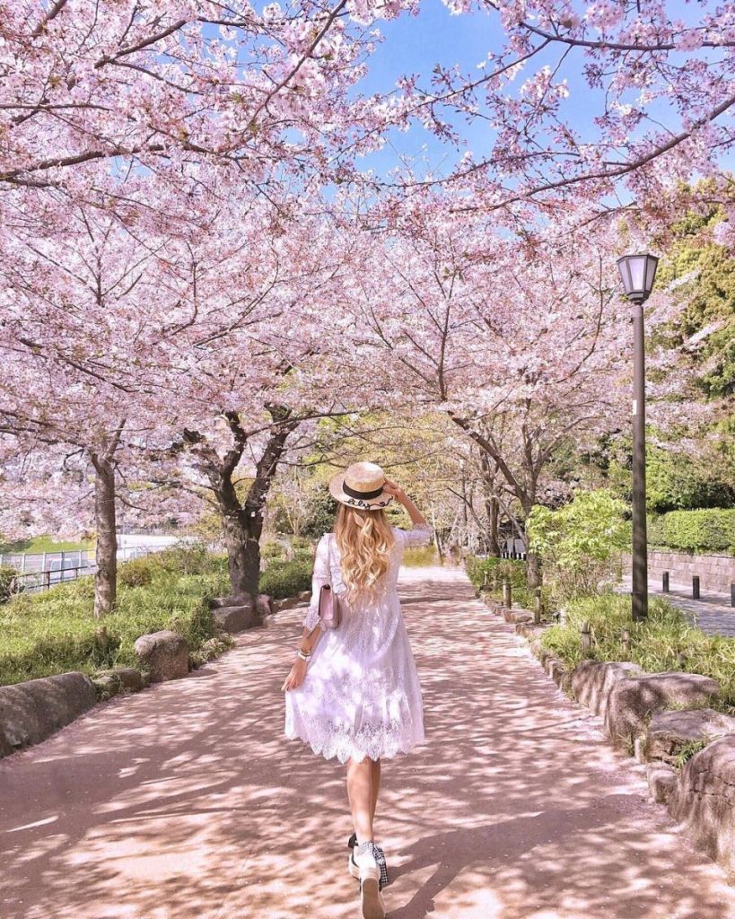 địa điểm vườn đào đẹp