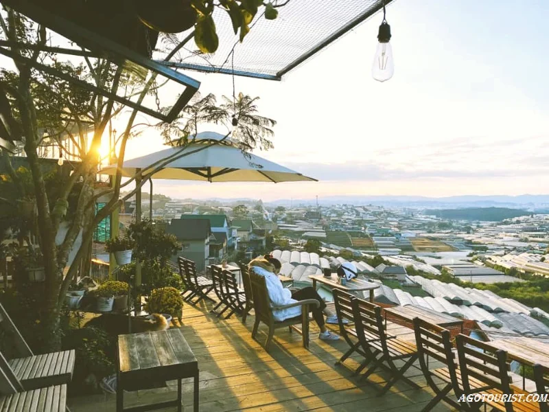 Top 25 quán cafe đẹp ở Đà Lạt - View săn mây, check-in cực đẹp