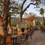 Cafe Cồn Sơn – Trải Nghiệm Cà Phê Giữa Miệt Vườn Sông Nước Cần Thơ Cafe Cồn Sơn