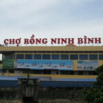 Chợ Rồng