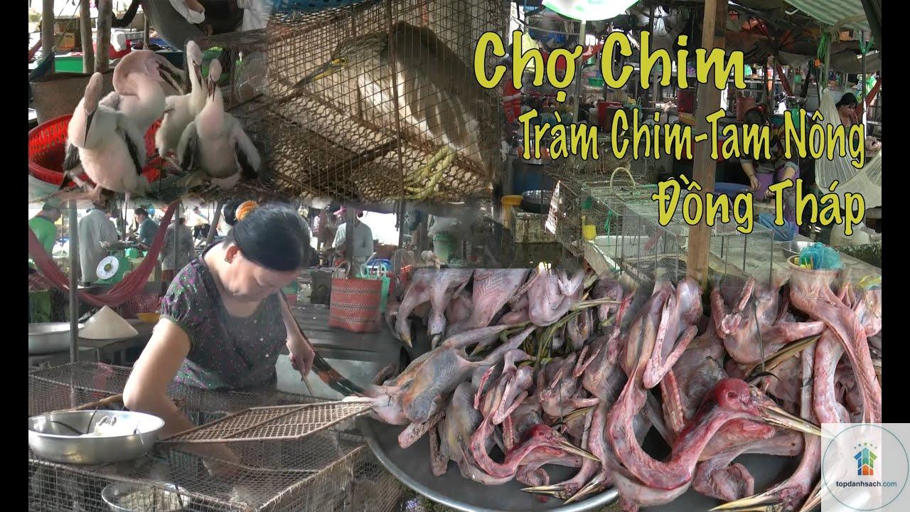 Chợ Tràm Chim - Hình 1