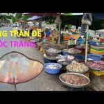Chợ Trần Đề: Thiên đường hải sản tươi sống và nét văn hóa miền biển Sóc Trăng Chợ Trần Đề