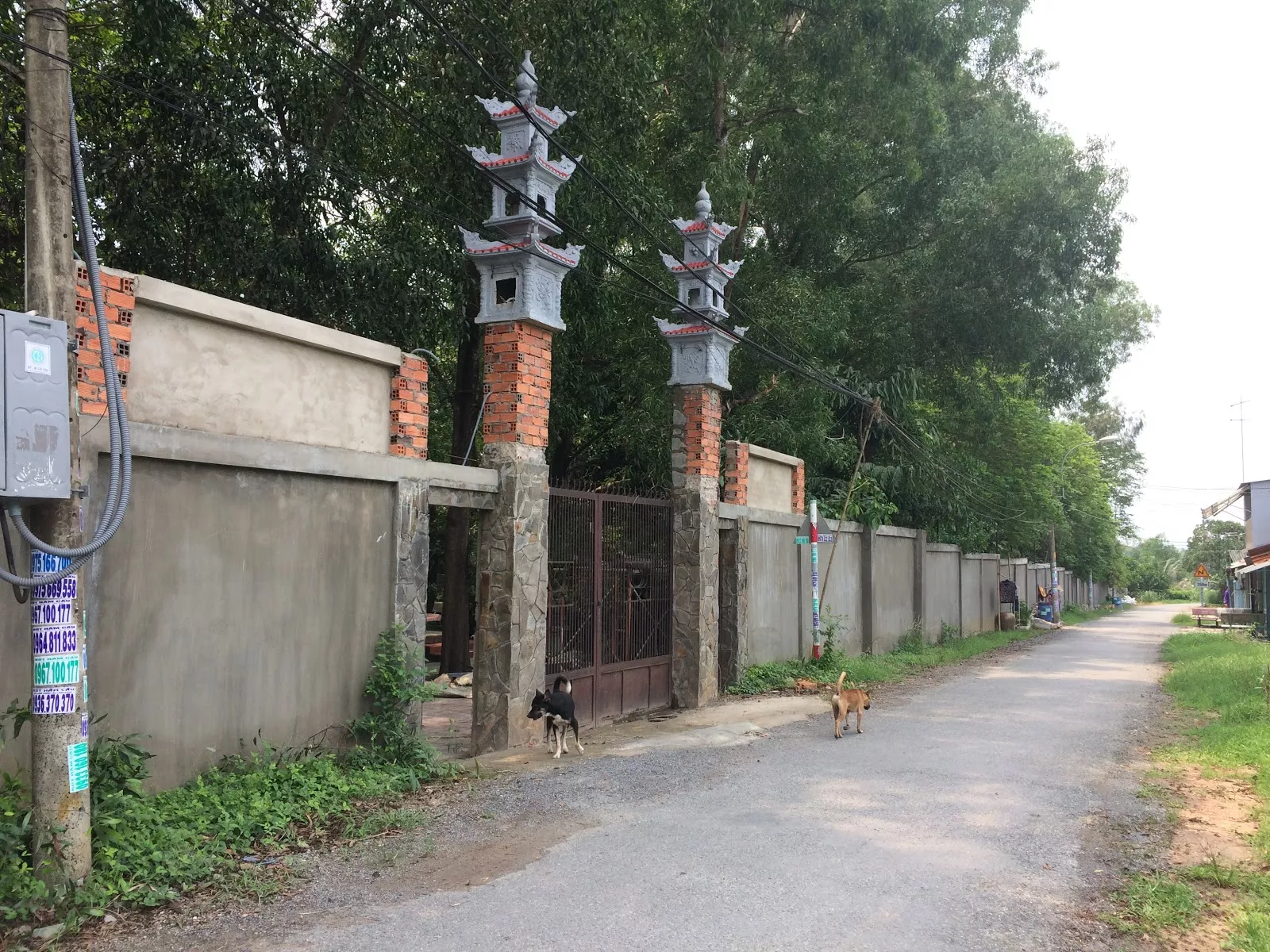Chùa Khánh Đức - Hình 3