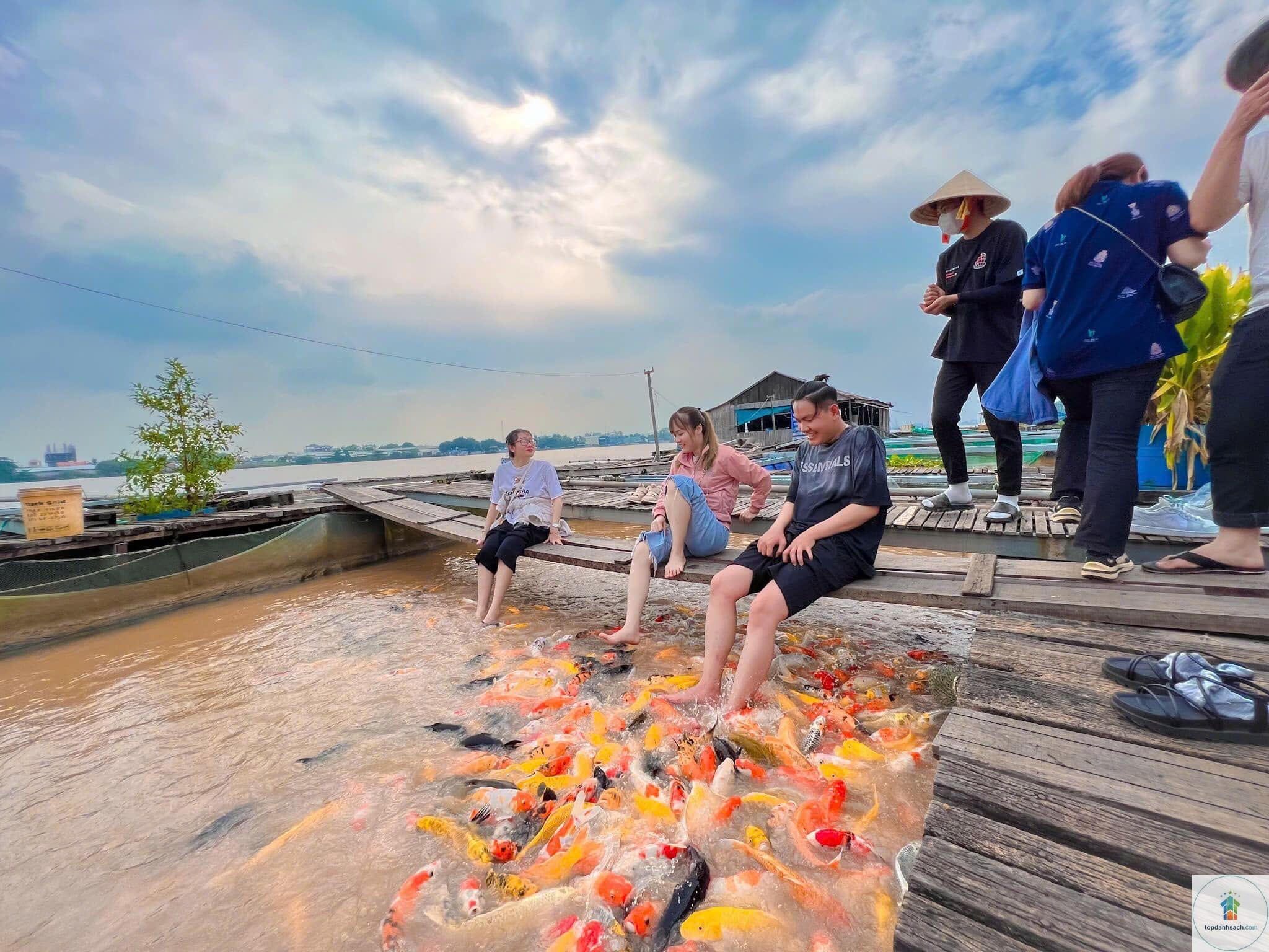 Cồn Sơn - Hình 2