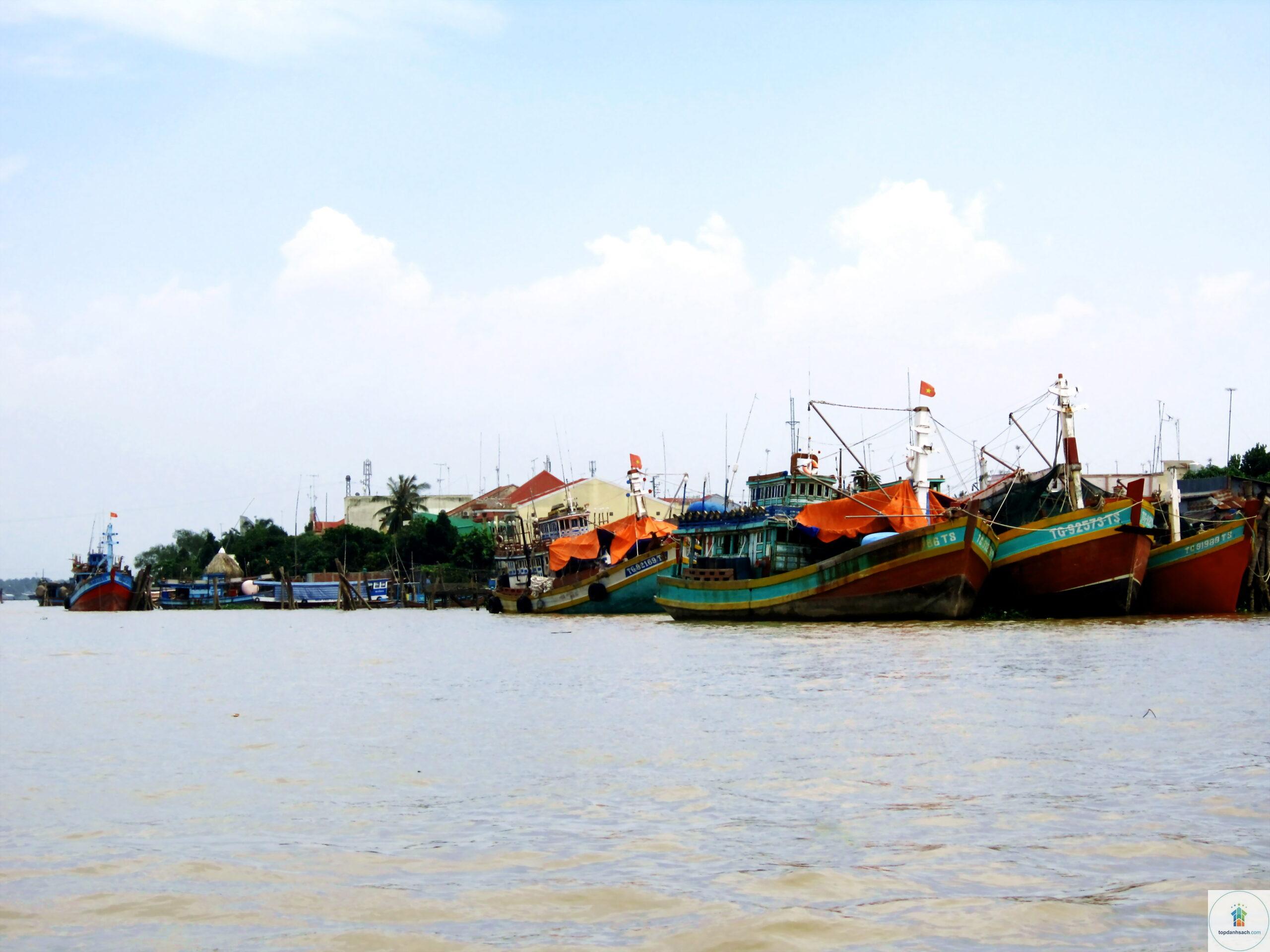 Cồn Tân Long - Hình 3