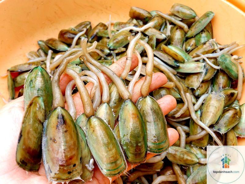 Đặc sản Hà Tiên - Hình 4