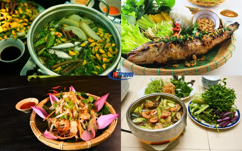 Đặc sản Tràm Chim - Hình 4