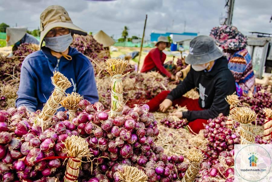 Đặc sản Vĩnh Châu - Hình 2