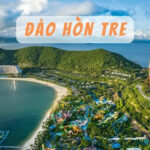 Đảo Hòn Tre