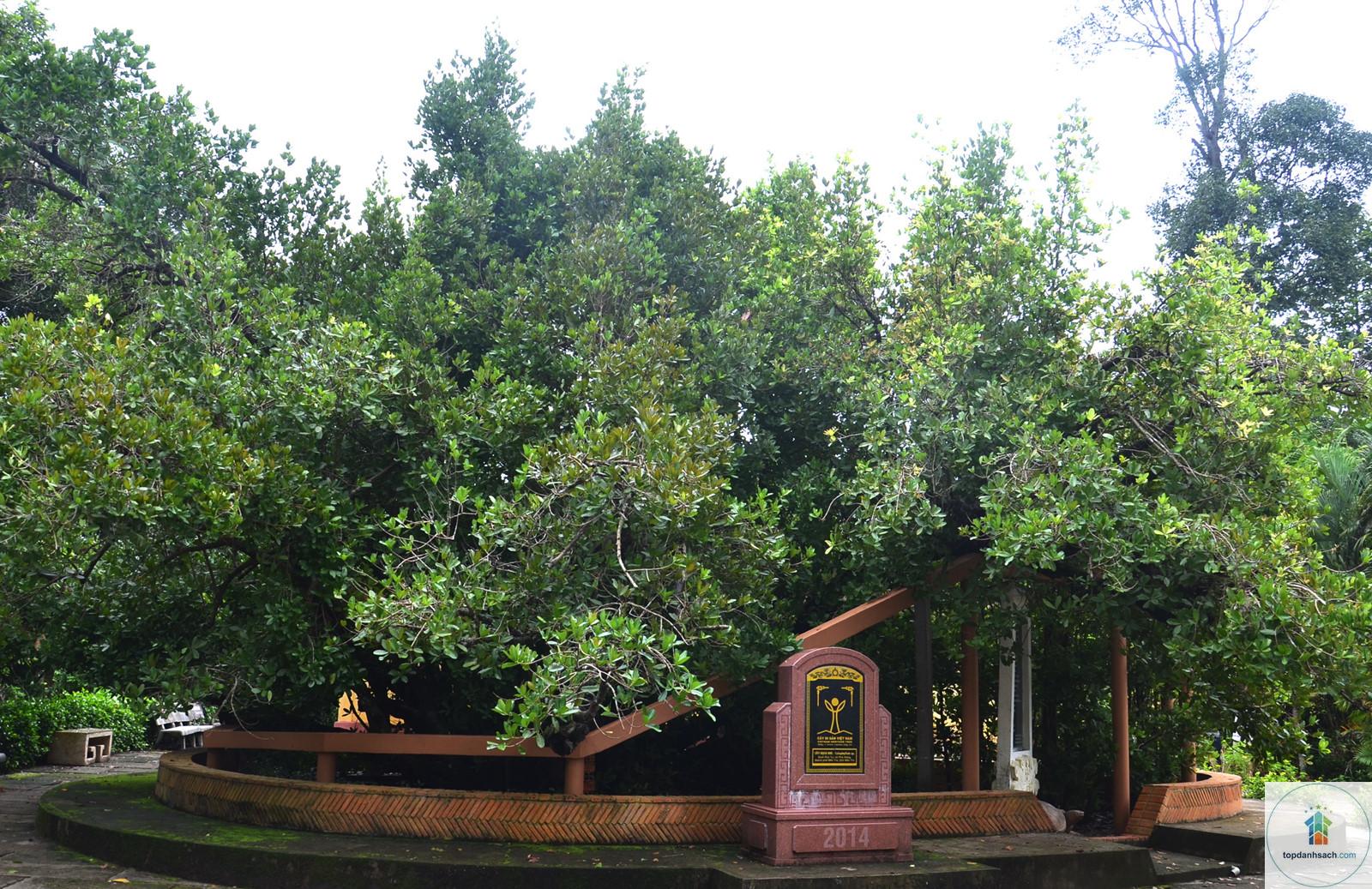 Đình Phú Tự Bến Tre - Hình 3