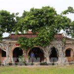Đình Tân An Đồng Tháp – Biểu tượng văn hóa lịch sử giữa lòng Tháp Mười Đình Tân An Đồng Tháp