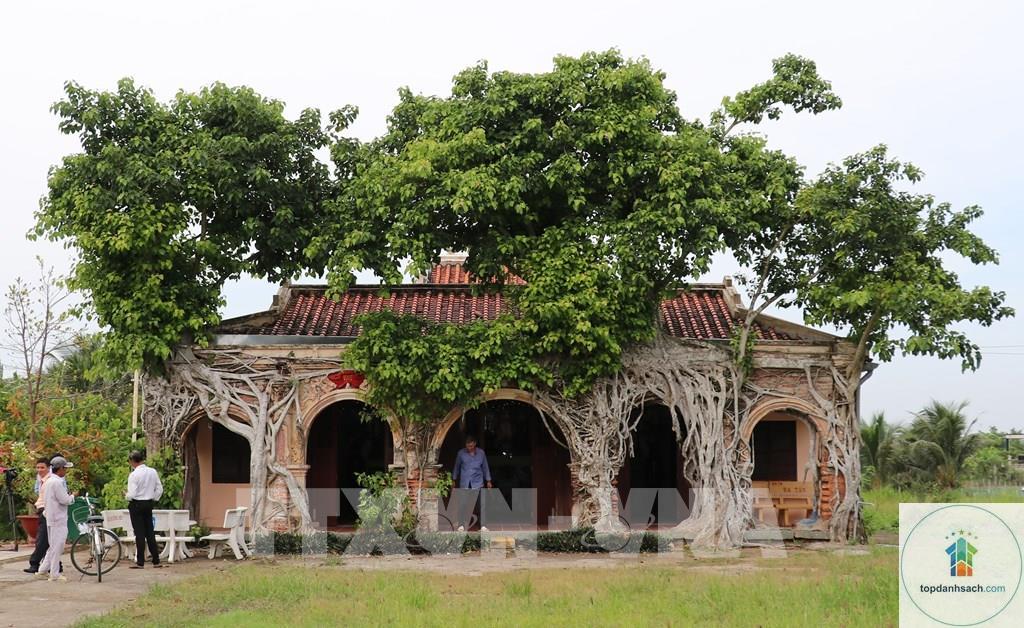 Đình Tân An Đồng Tháp - Hình 1
