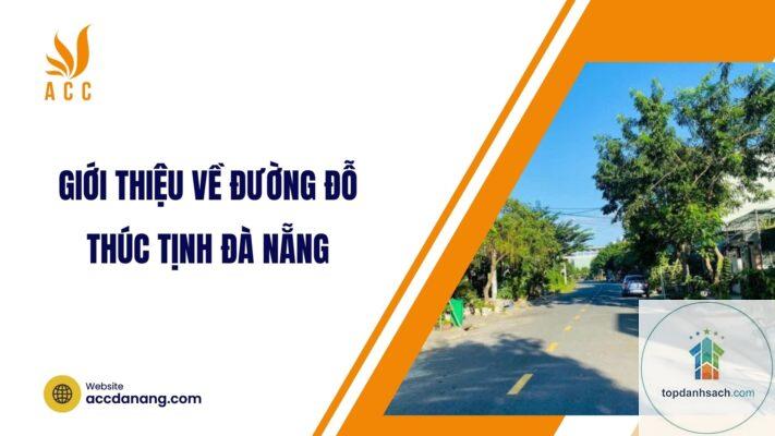 Đường Đỗ Thúc Tịnh - Đà Nẵng - Hình 2