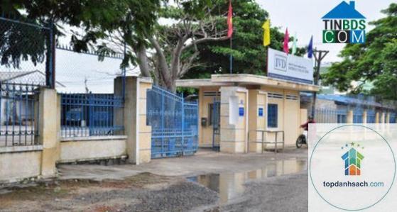 Đường Đỗ Thúc Tịnh - Đà Nẵng - Hình 4
