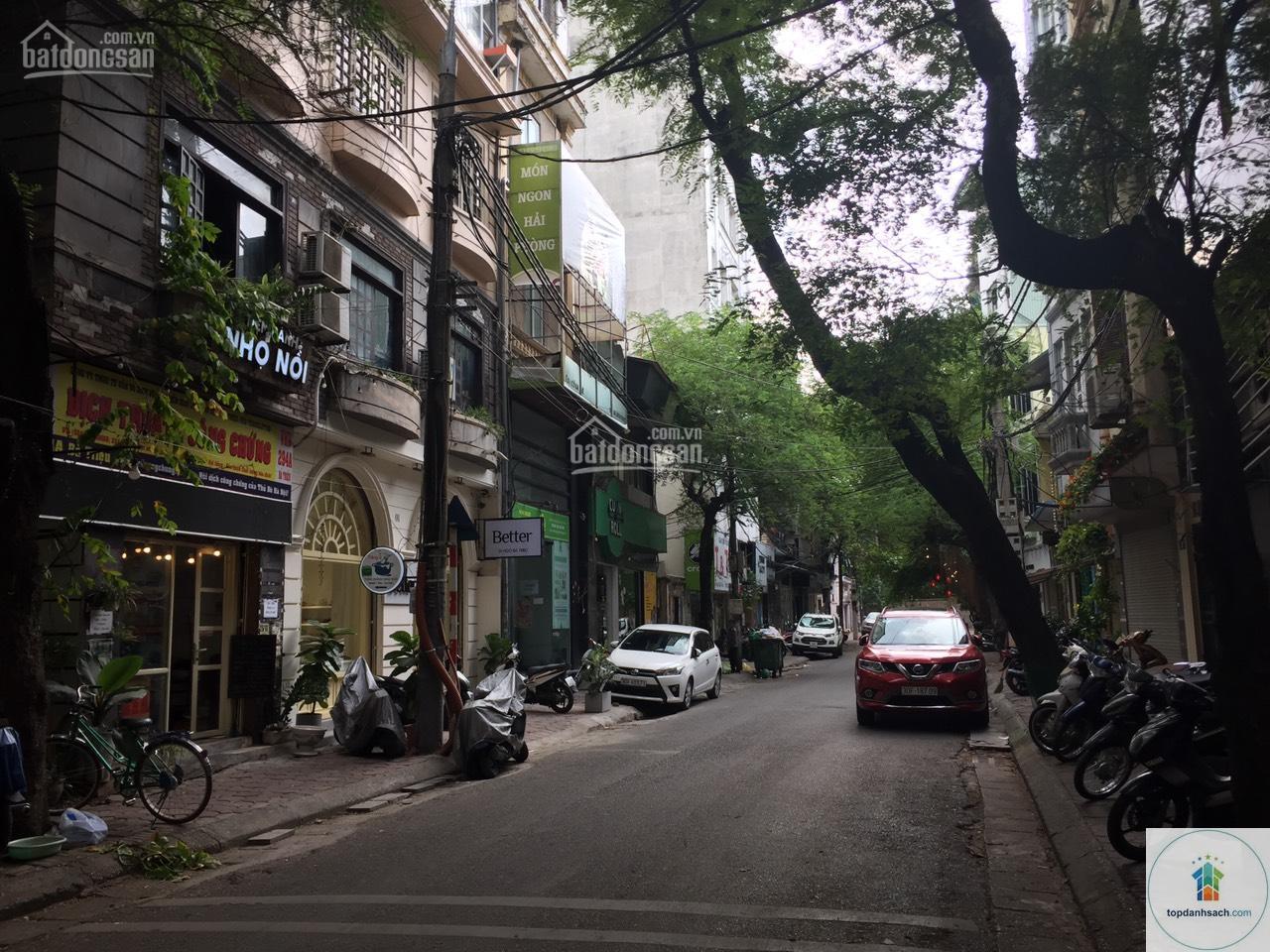 Đường Hai Bà Trưng - Hà Nội - Hình 3