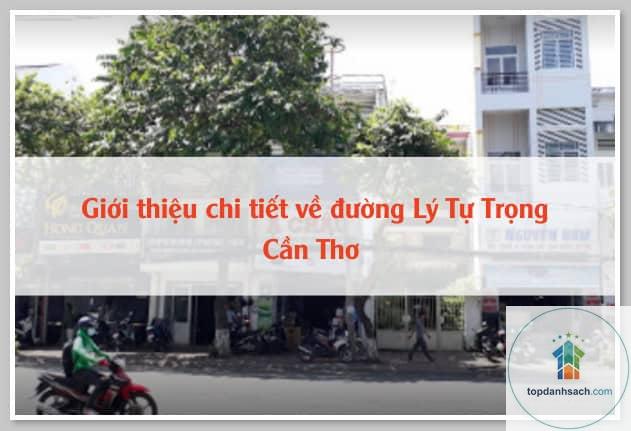 Đường Lý Tự Trọng Cần Thơ - Hình 4