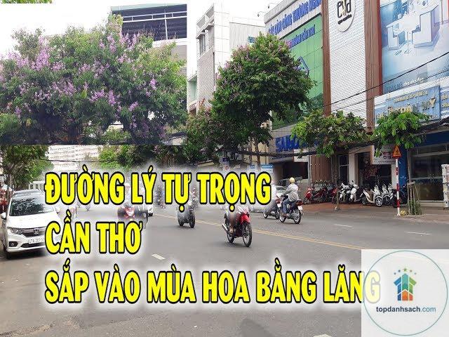 Đường Lý Tự Trọng Cần Thơ - Hình 5