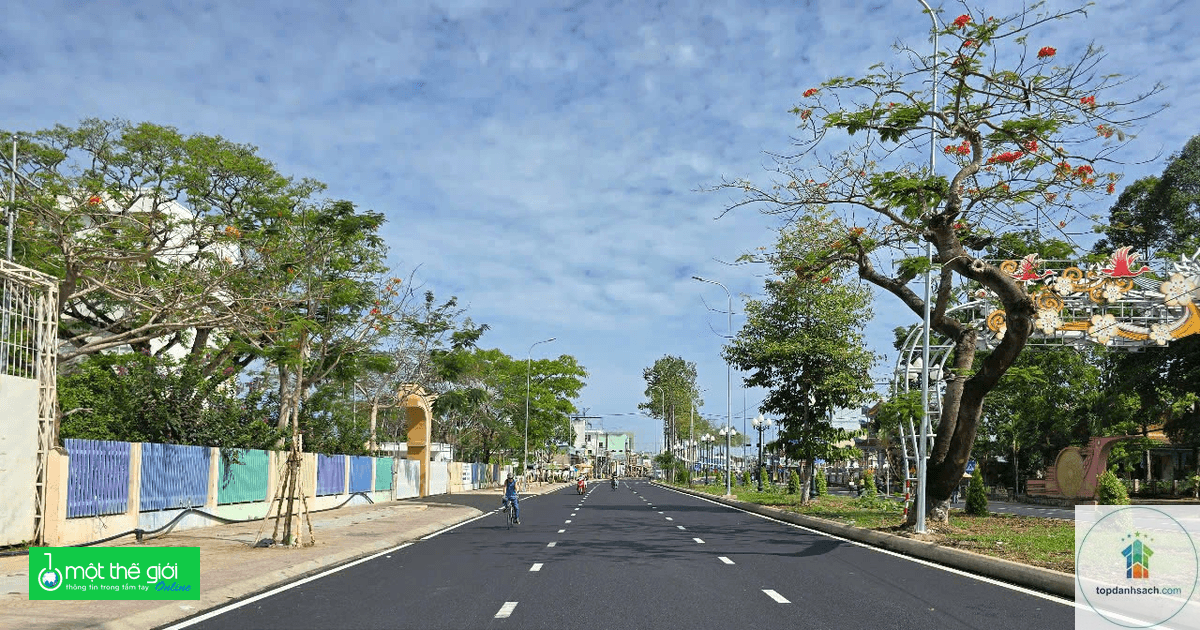 Đường Phạm Hữu Lầu Cao Lãnh - Hình 3