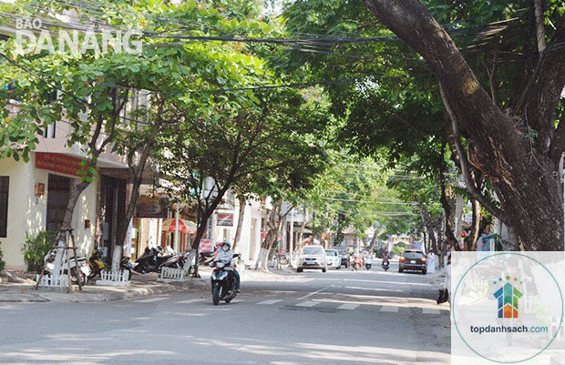 Đường Phan Châu Trinh - Đà Nẵng - Hình 2