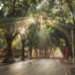 Đường Phan Đình Phùng - Đà Nẵng