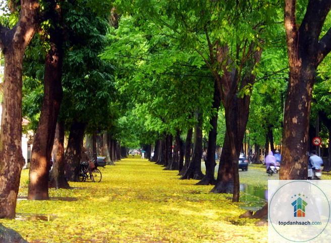 Đường Phan Đình Phùng - Hà Nội - Hình 2