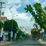 Đường Tôn Đức Thắng Long Xuyên: Vị Trí, Đặc Điểm Và Những Điểm Đến Không Thể Bỏ Qua