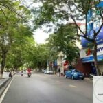 Đường Trần Hưng Đạo Bến Tre – Vị Trí, Đặc Điểm Và Trải Nghiệm Tuyến Đường Trung Tâm Đường Trần Hưng Đạo Bến Tre – Vị Trí, Đặc Điểm Và Trải Nghiệm Tuyến Đường Trung Tâm