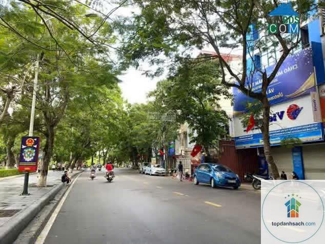 Đường Trần Hưng Đạo Bến Tre - Hình 4