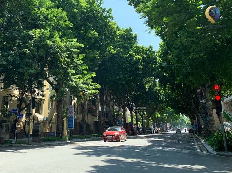 Đường Trần Hưng Đạo - Hà Nội