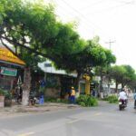 Đường Trưng Nữ Vương Vĩnh Long