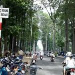 Đường Trương Định Bến Tre – Vị trí, lịch sử và những điều cần biết khi đến tham quan Đường Trương Định Bến Tre