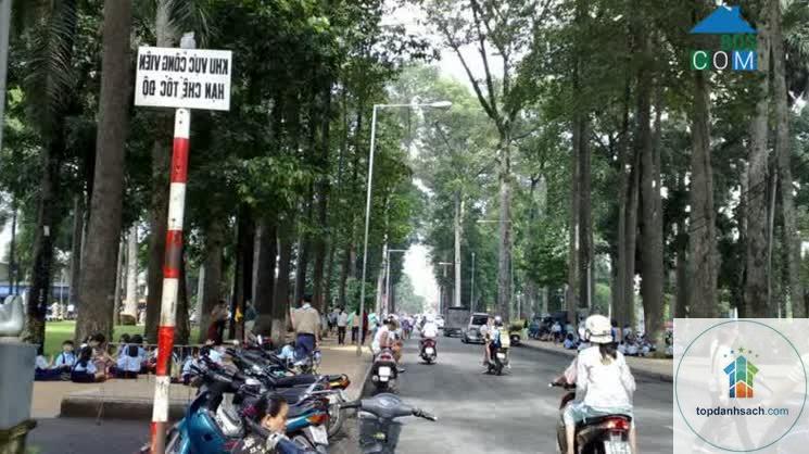Đường Trương Định Bến Tre - Hình 1