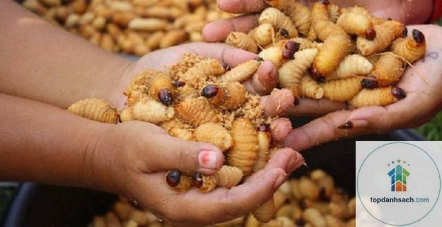 Đuông dừa Bến Tre - Hình 3