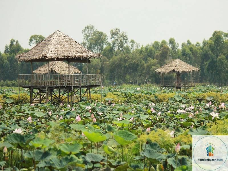 Khu du lịch Đồng Sen Tháp Mười - Hình 3