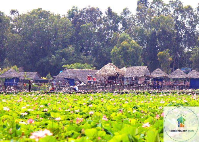 Khu du lịch Đồng Sen Tháp Mười - Hình 4