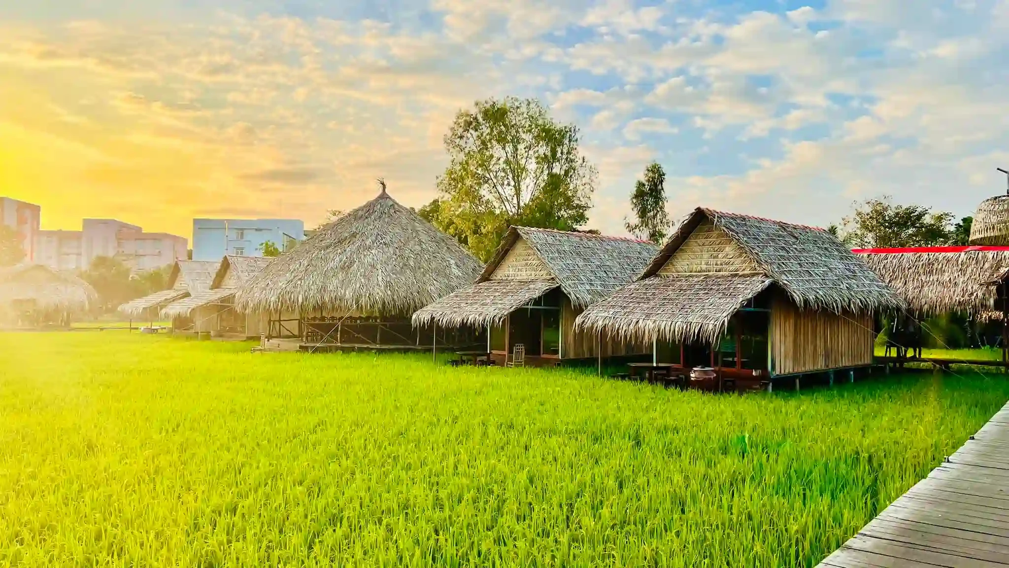 Khu du lịch Mỹ Phước Thành - Hình 4