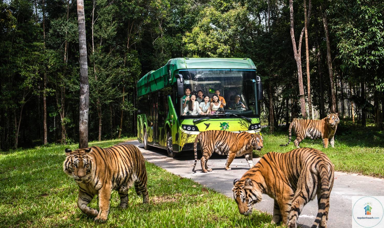 Khu du lịch Safari Phú Quốc - Hình 3