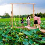 Khu du lịch Sinh thái Đồng Sen