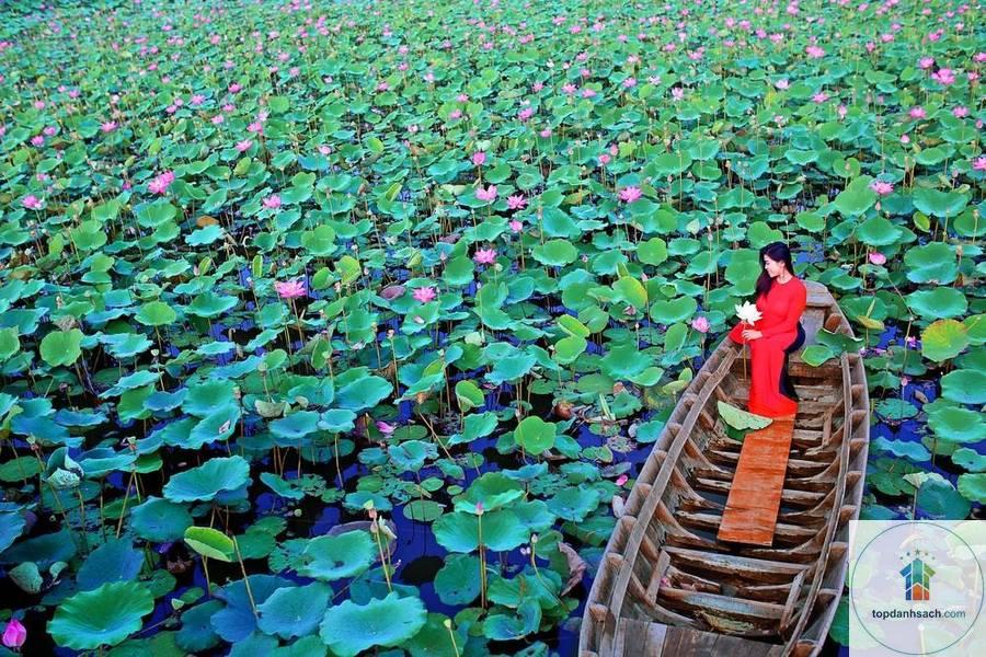 Khu du lịch Sinh thái Đồng Sen - Hình 4