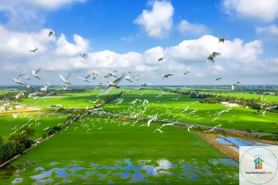 Khu du lịch Tràm Chim - Hình 1