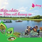 Khu du lịch Tràm Chim – chốn hoang sơ giữa lòng đồng bằng sông nước Khu du lịch Tràm Chim – chốn hoang sơ giữa lòng đồng bằng sông nước
