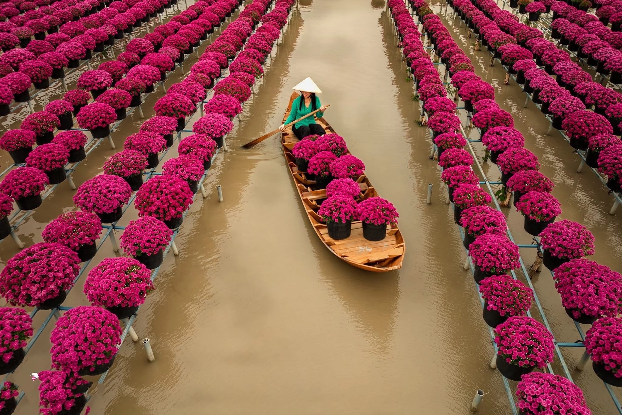 Làng hoa Sa Đéc - Hình 3