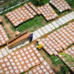 Làng nghề bánh tráng Chợ Gạo - Tinh hoa ẩm thực miền Tây Nam Bộ Làng nghề bánh tráng Chợ Gạo