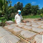 Làng nghề bánh tráng Cù lao Mây – Tinh hoa ẩm thực miền Tây từ những tấm bánh tráng phơi sương