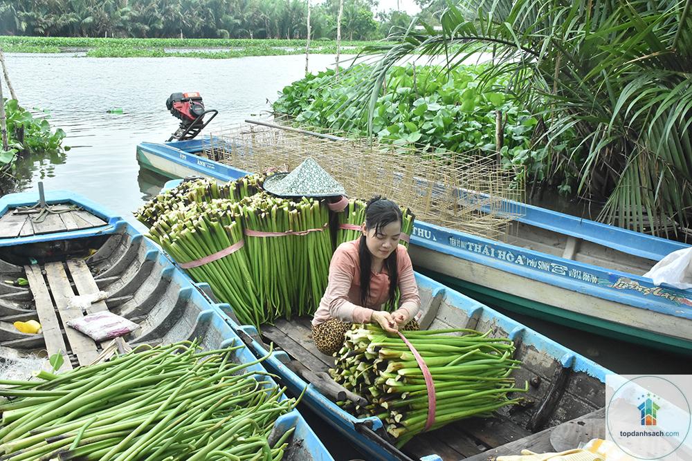 Làng nghề đan lục bình Tiền Giang - Hình 2
