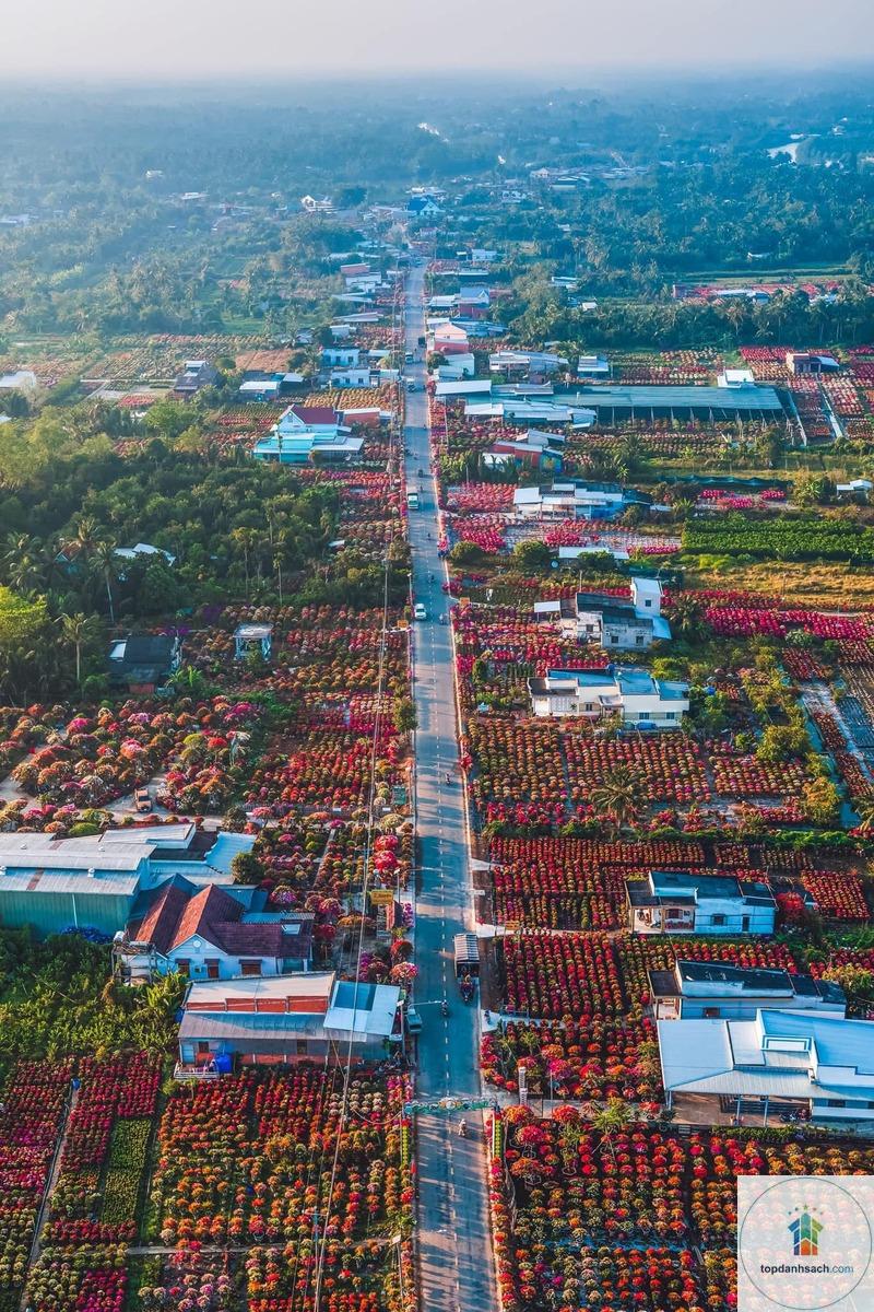 Làng nghề hoa kiểng Cái Mơn - Hình 1