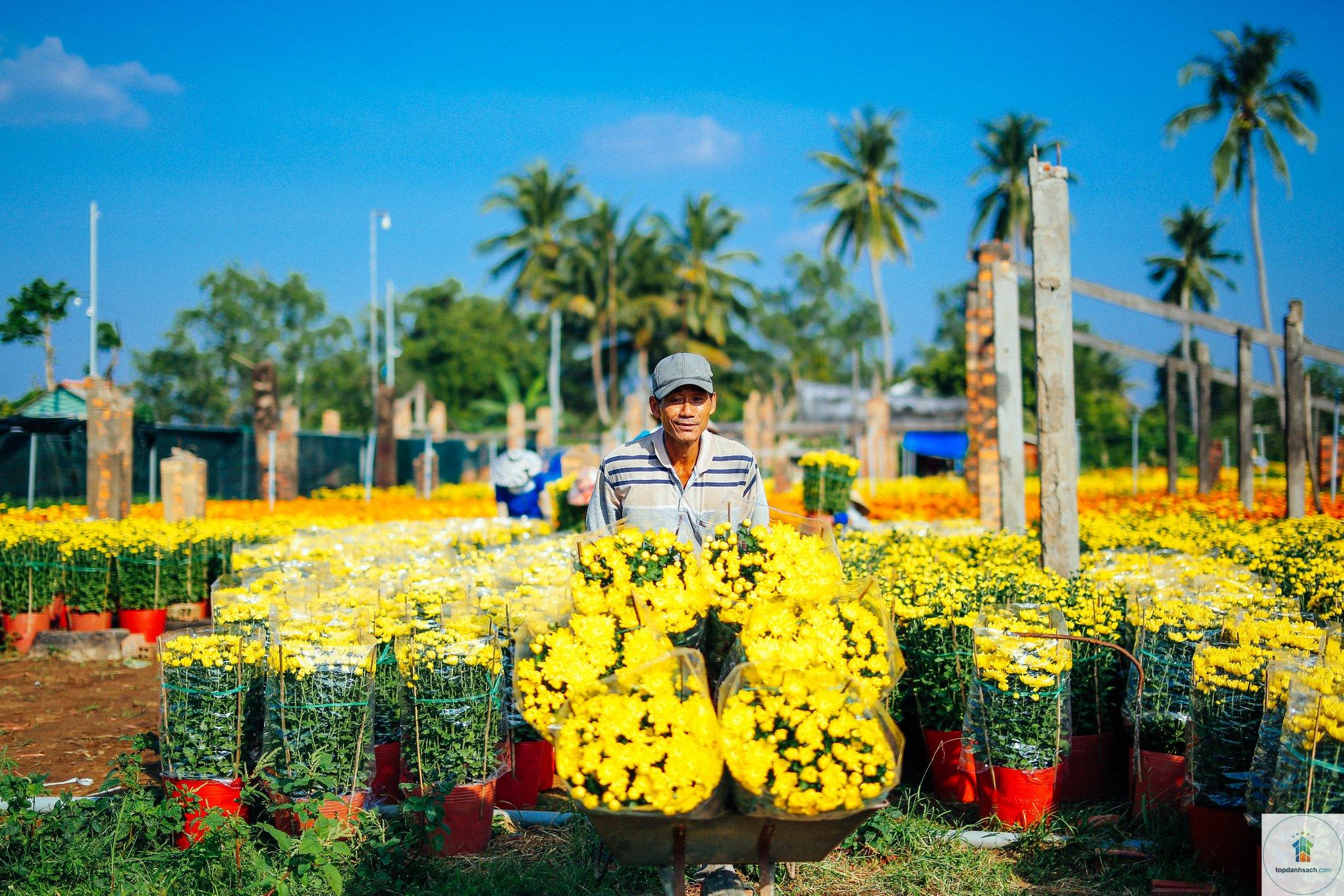 Làng nghề hoa kiểng Cái Mơn - Hình 2
