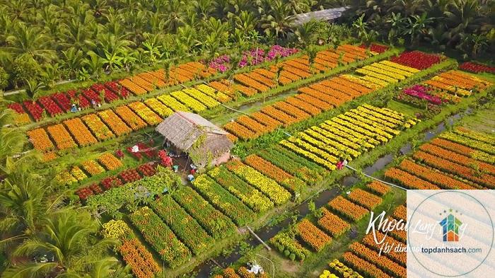 Làng nghề hoa kiểng Cái Mơn - Hình 3