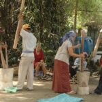 Làng nghề làm cốm dẹp Sóc Trăng
