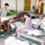 Làng nghề làm hủ tiếu Mỹ Tho
